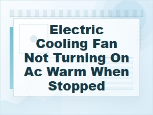 Electric Cooling Fan Not Turning On, Ac Warm at Idle
